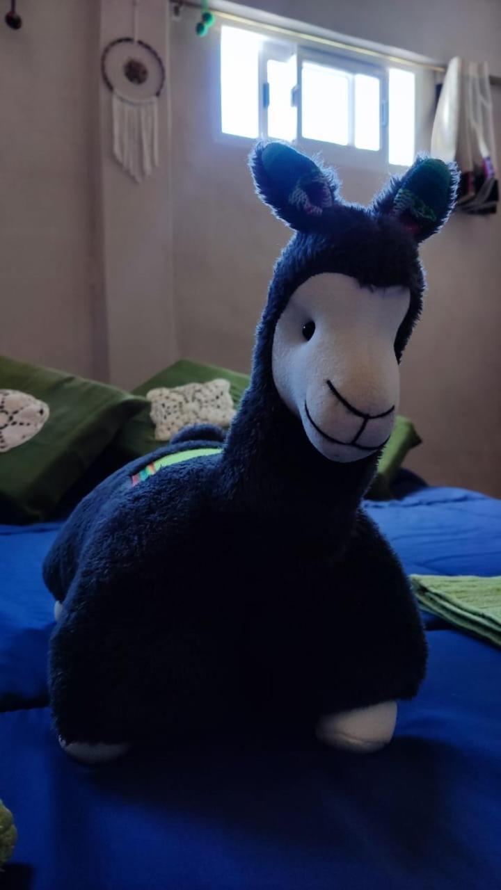 לינה וארוחת בוקר טיליקארה Retama מראה חיצוני תמונה
